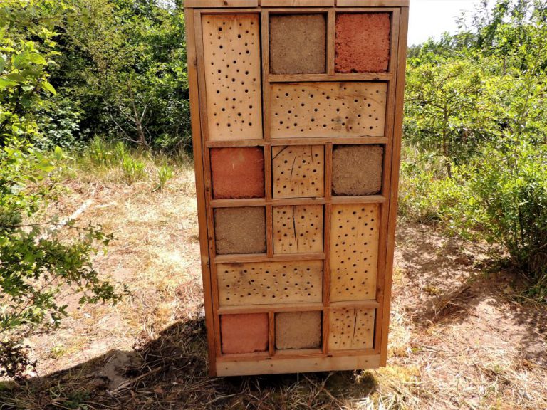 ECOlumn haarlems weekblad hans blomvliet