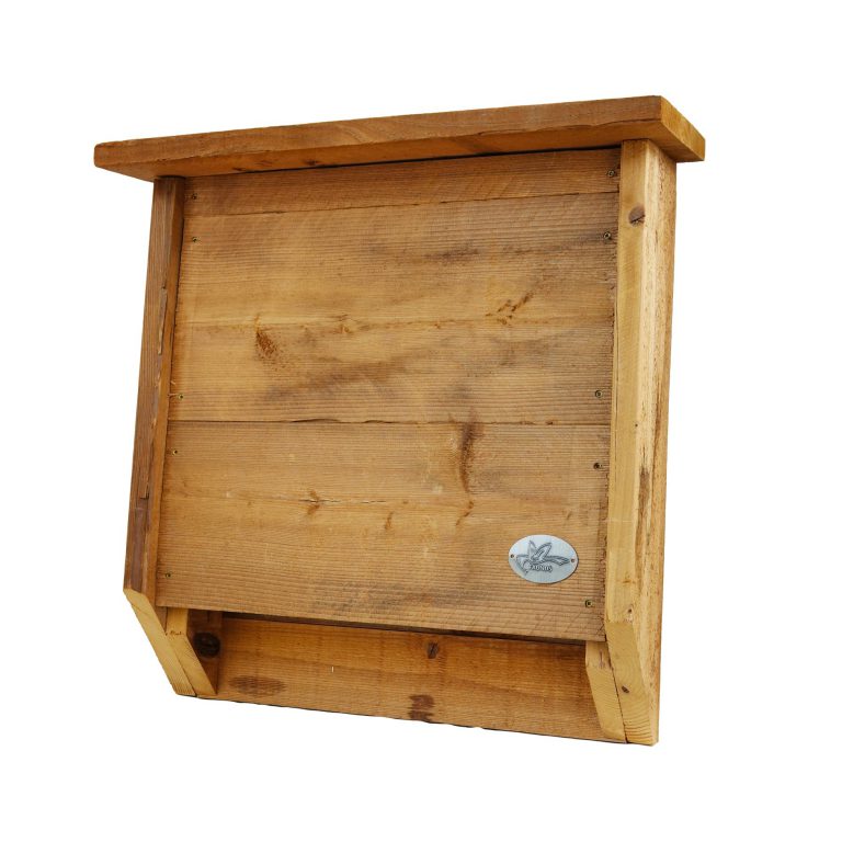 vleermuiskast celina