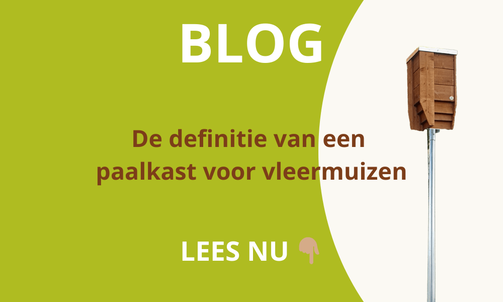 definitie van een paalkast