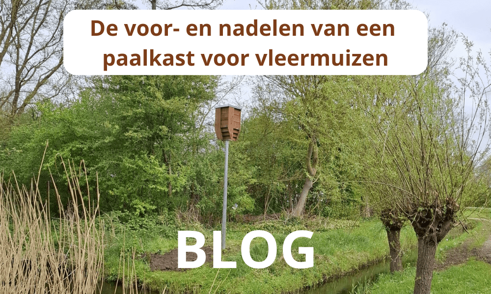 voor- en nadelen van paalkast header