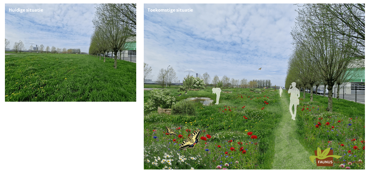 ecologisch landschapsontwerp bedrijventerrein 5