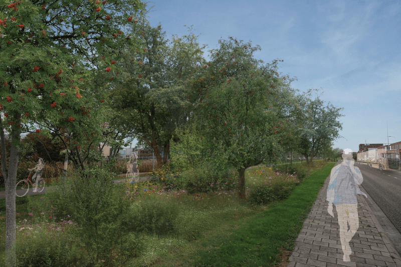 biodiverse groenstrook Impressie impact Duiven