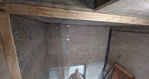 Grootste vleermuistoren van Nederland 2