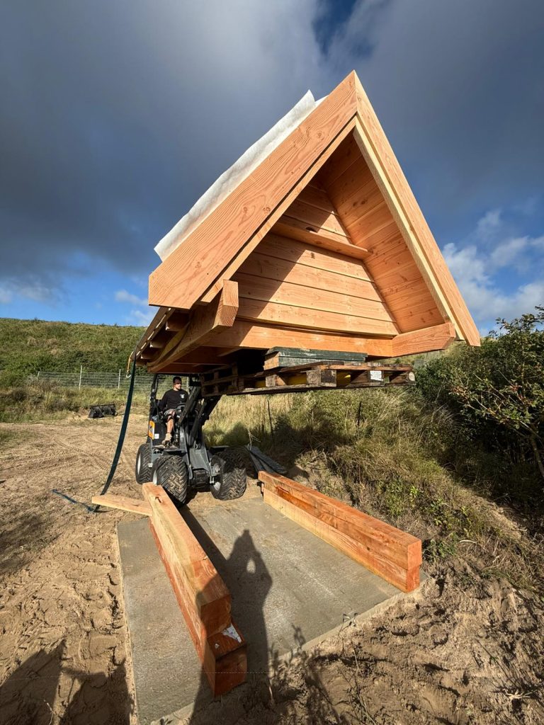 uilentil Noctua in Zandvoort plaatsing