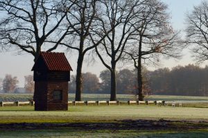 Varsener vleermuistoren