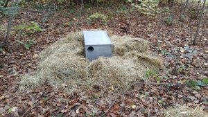 marterhopen in Waalre 1