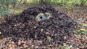 marterhopen in Waalre 2