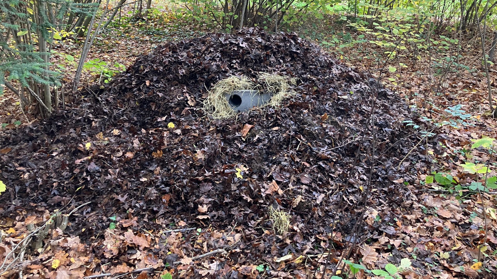 marterhopen in Waalre 2