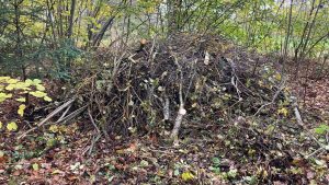 marterhopen in Waalre 3