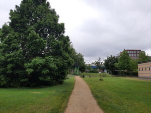 vleermuistil capelle aan den ijssel 1
