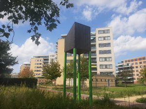 vleermuistil capelle aan den ijssel 3